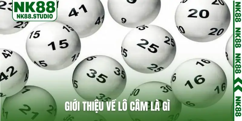 Giới thiệu về lô câm là gì